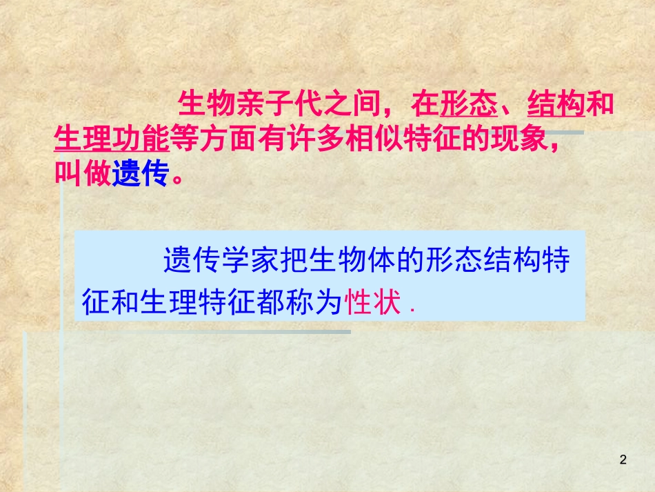 生物的遗传-1_第2页