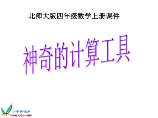 《神奇的计算工具》PPT课件