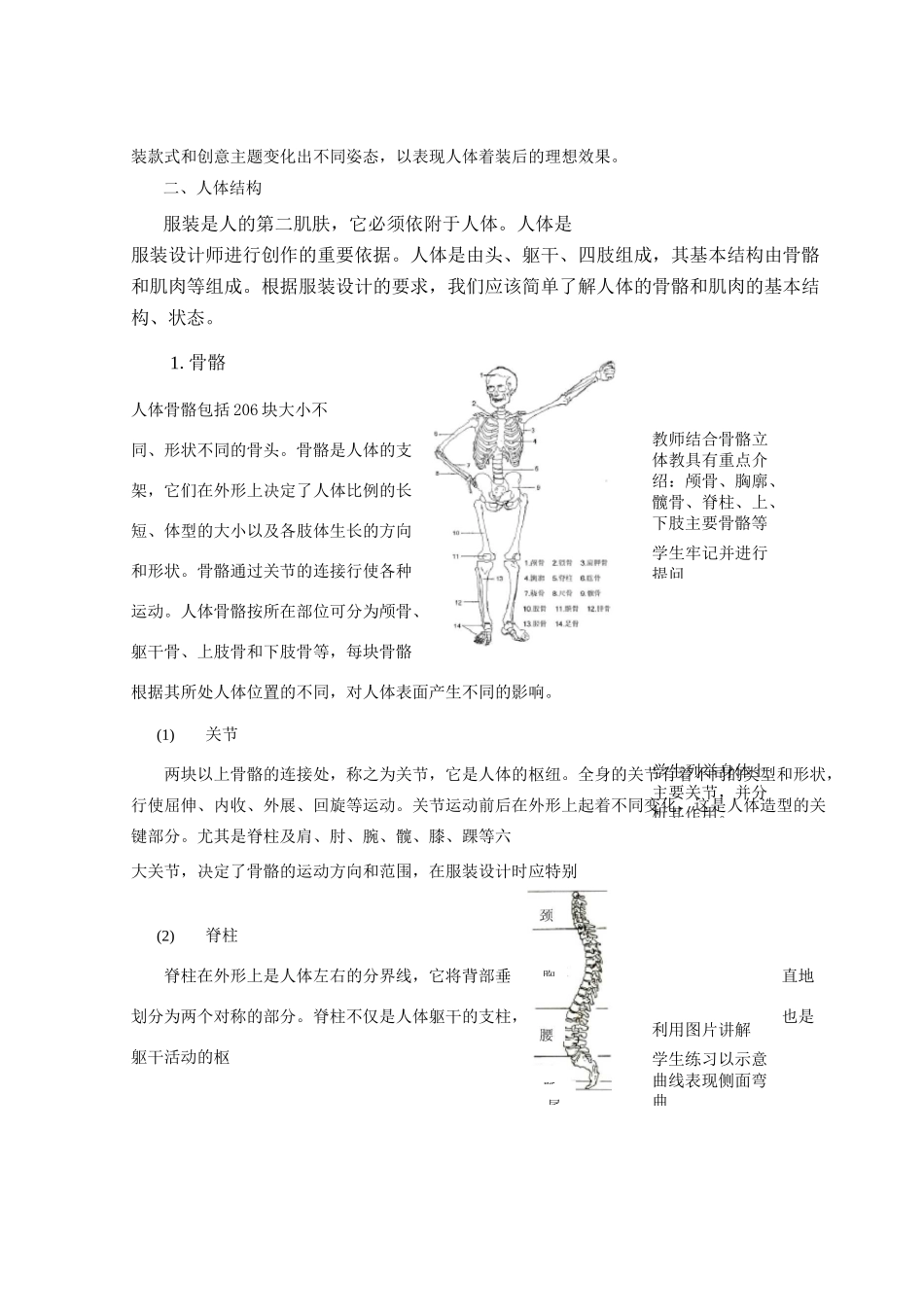 服装人体特征_第3页