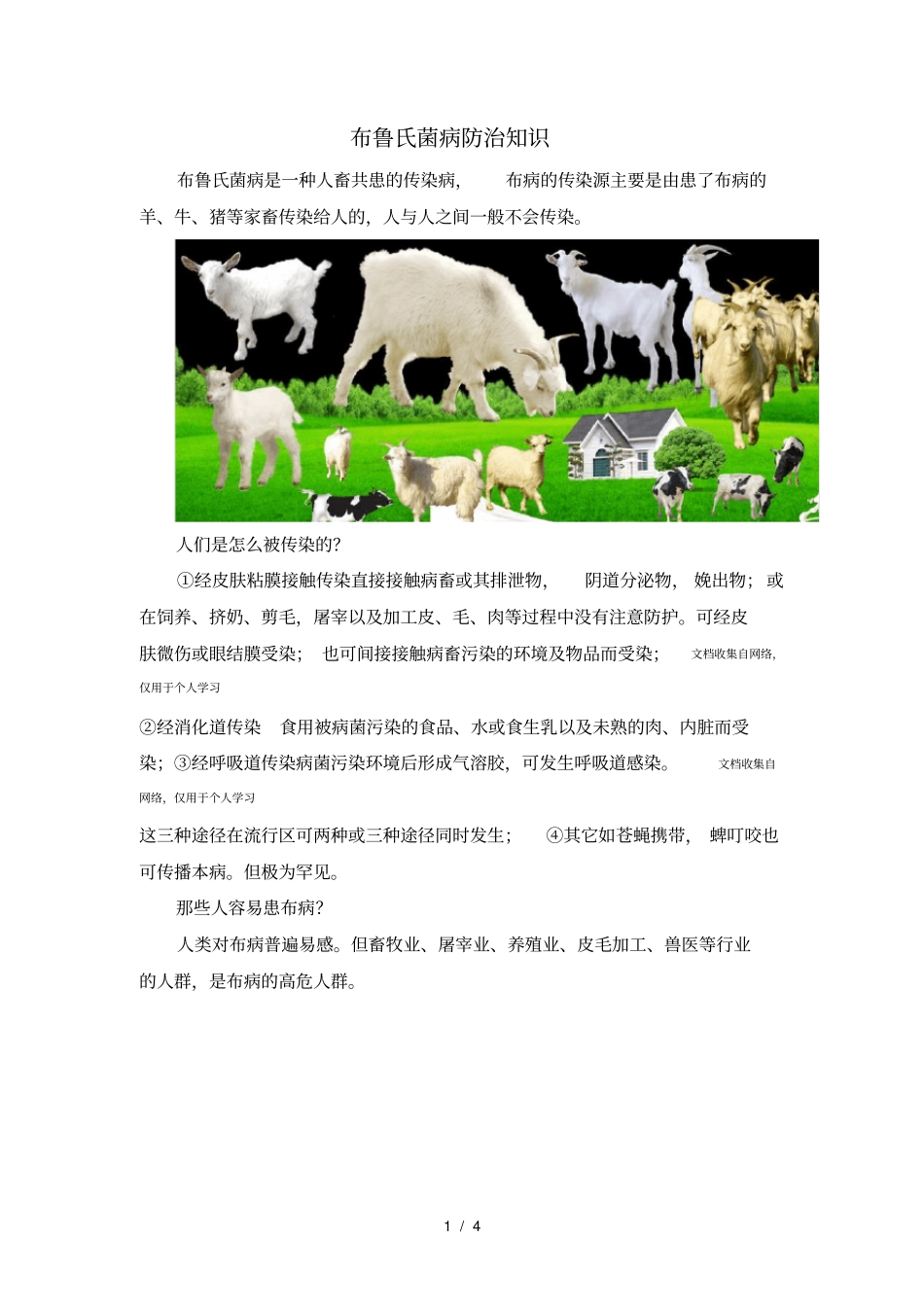 布鲁氏菌病是种人畜共患传染病_第1页
