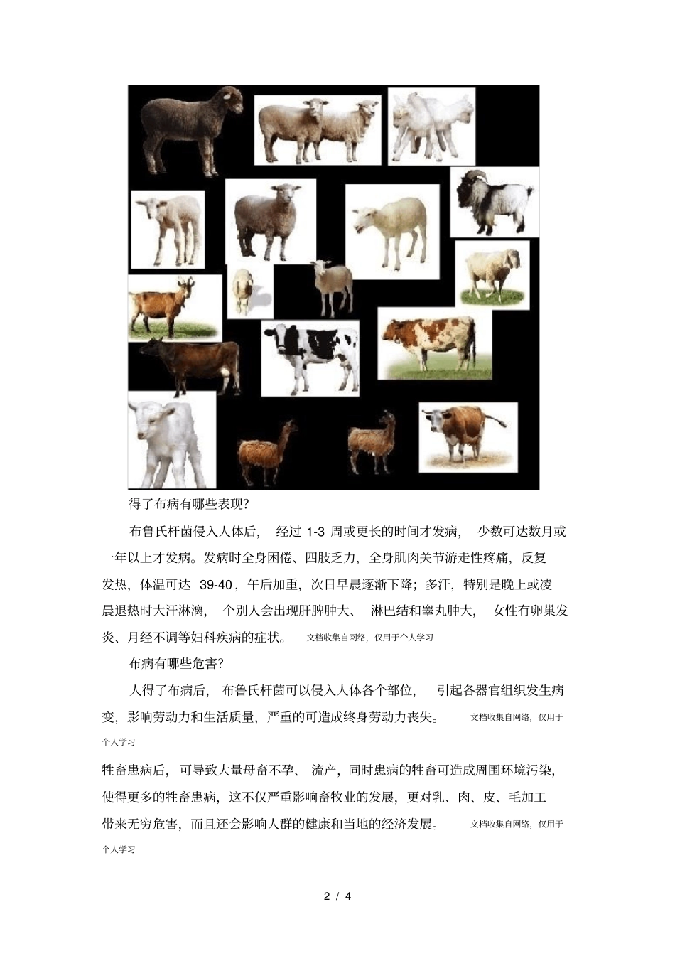 布鲁氏菌病是种人畜共患传染病_第2页