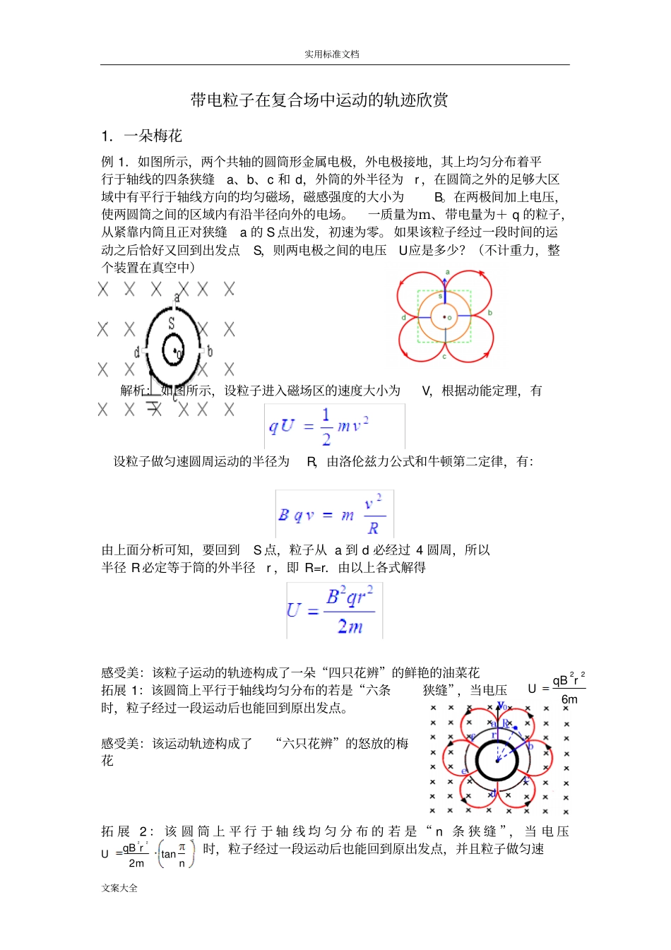 带电粒子在磁场中运动地轨迹欣赏_第1页