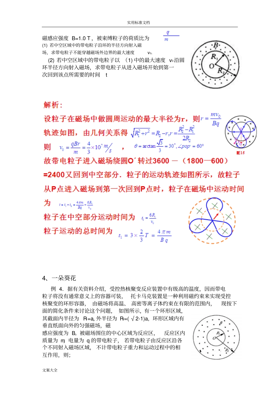 带电粒子在磁场中运动地轨迹欣赏_第3页
