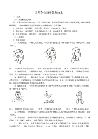 常用创伤初步急救技术改模板