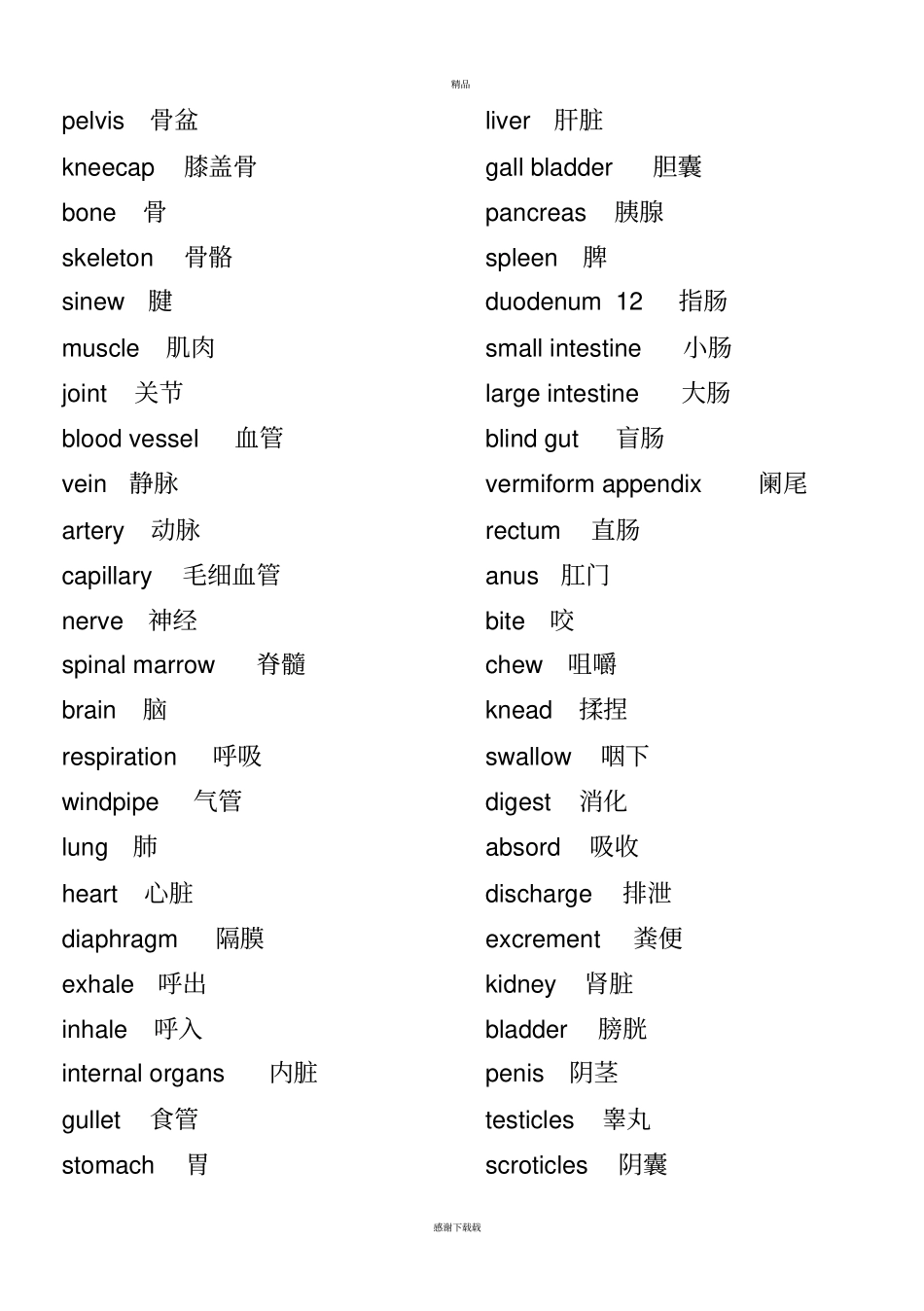 常用医学英语单词_第3页