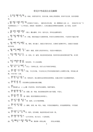 常见中考成语解释