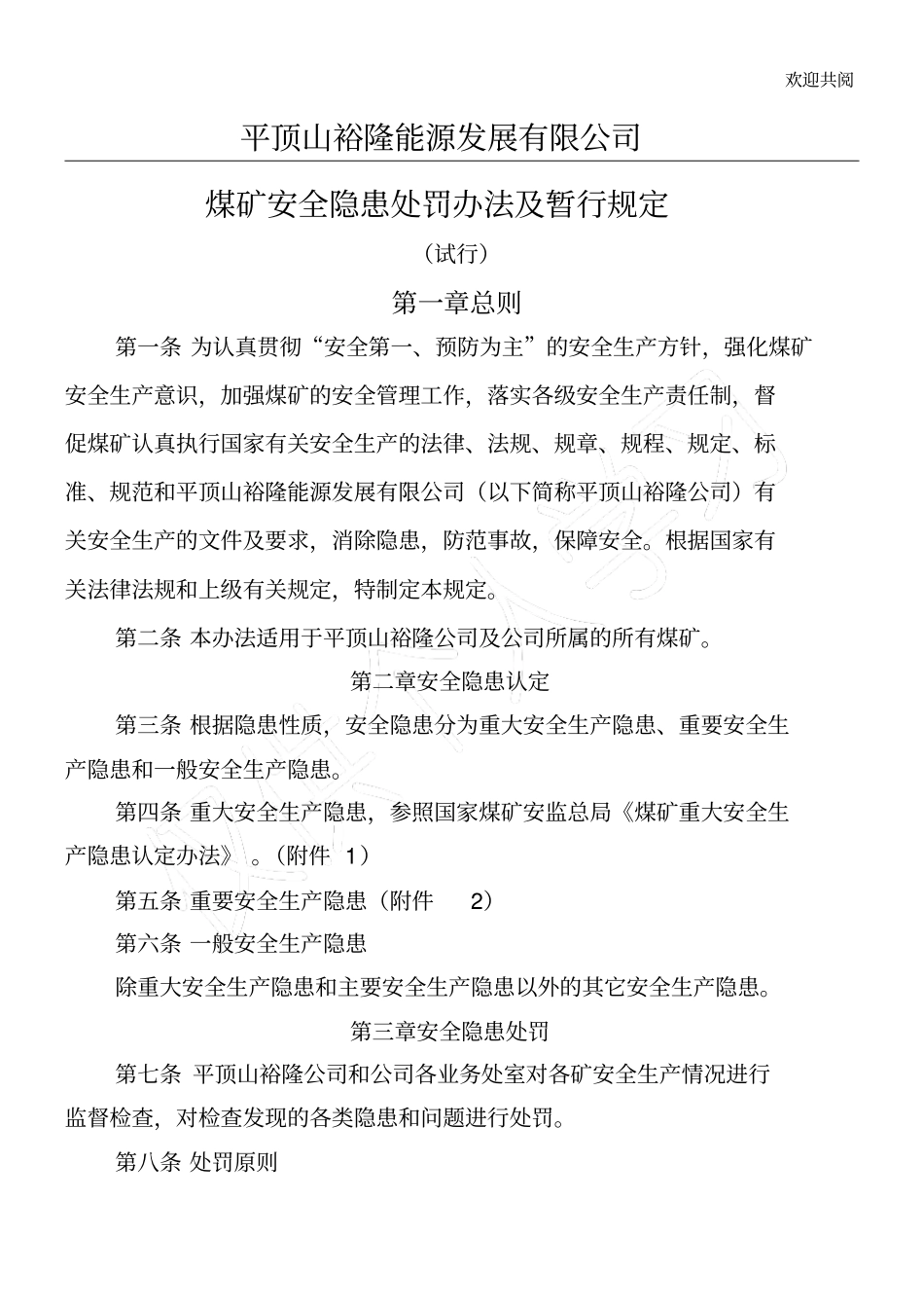 平顶山裕隆能源发展有限公司煤矿安全隐患处罚手册及暂行手册_第1页