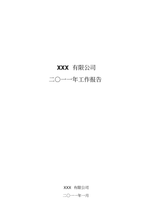 年工作总结报告-总经理、CEO模板
