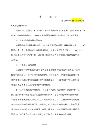 年审计报告与附注模板