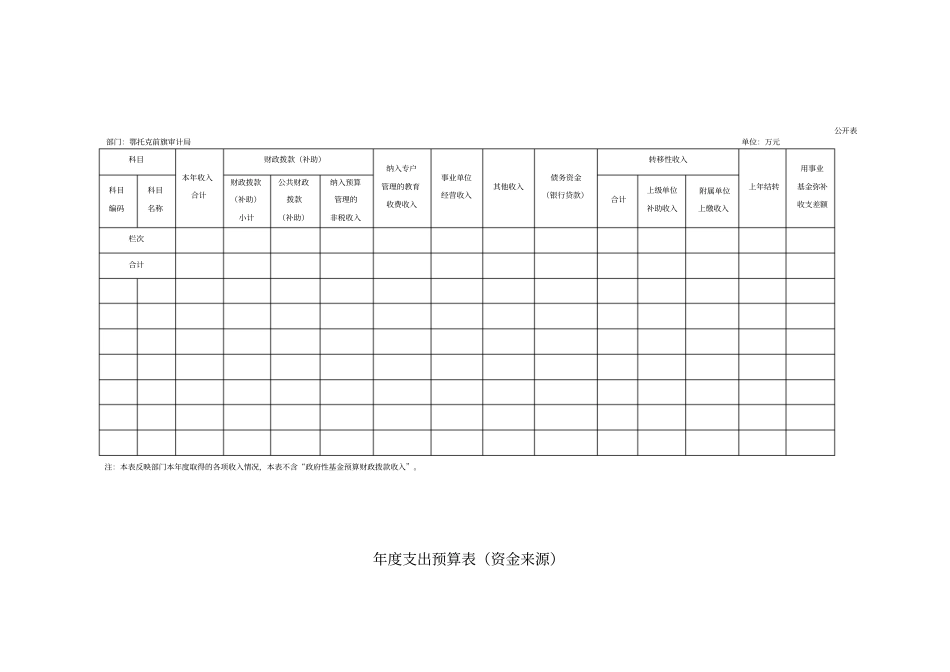 年收入支出预算总表_第2页