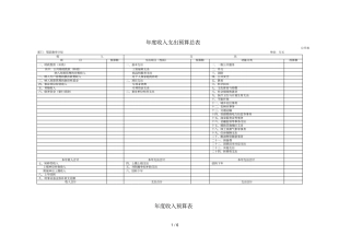 年收入支出预算总表