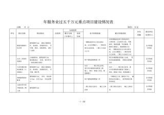 年服务业过五千万元重点项目建设情况表