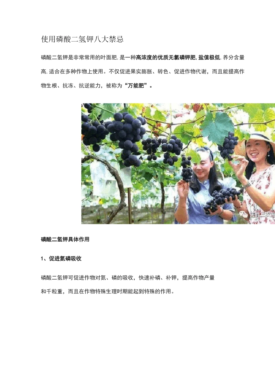 使用磷酸二氢钾八大禁忌_第1页