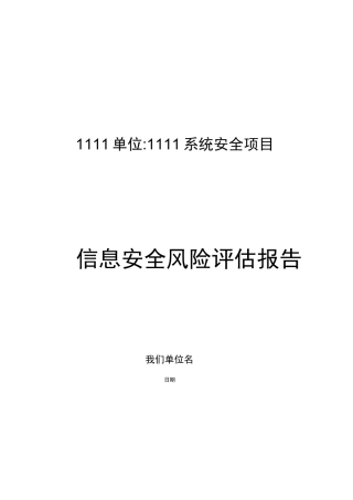 信息安全风险评估报告 