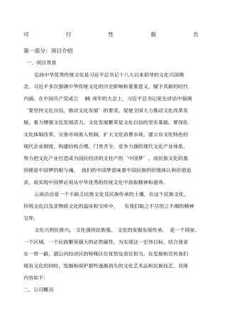 广播电视节目制作经营可行性报告