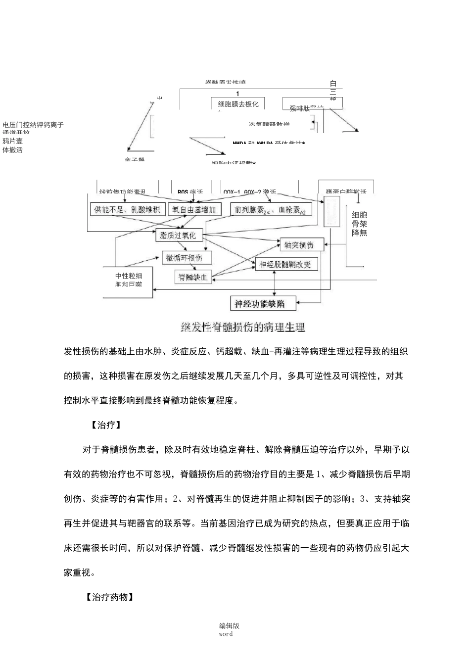 脊髓损伤的药物治疗_第2页