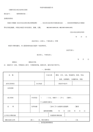 度年检查报告书