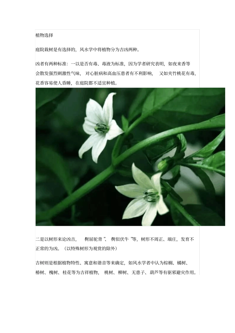 庭院景观中的风水学剖析_第3页