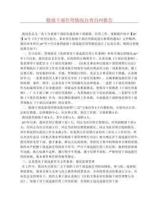 股级干部任用情况自查自纠报告