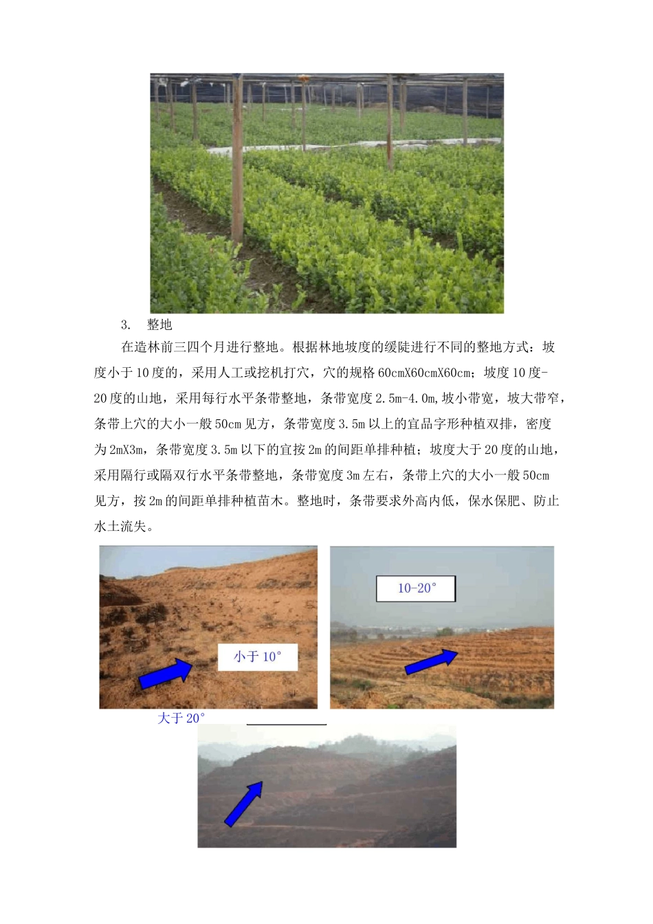 油茶良种丰产栽培技术推广手册_第2页