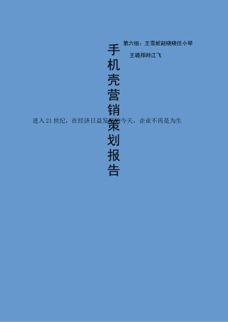 手机壳营销策划