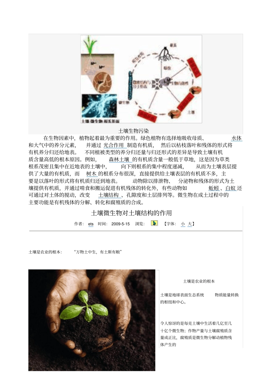 微生物与土壤_第3页