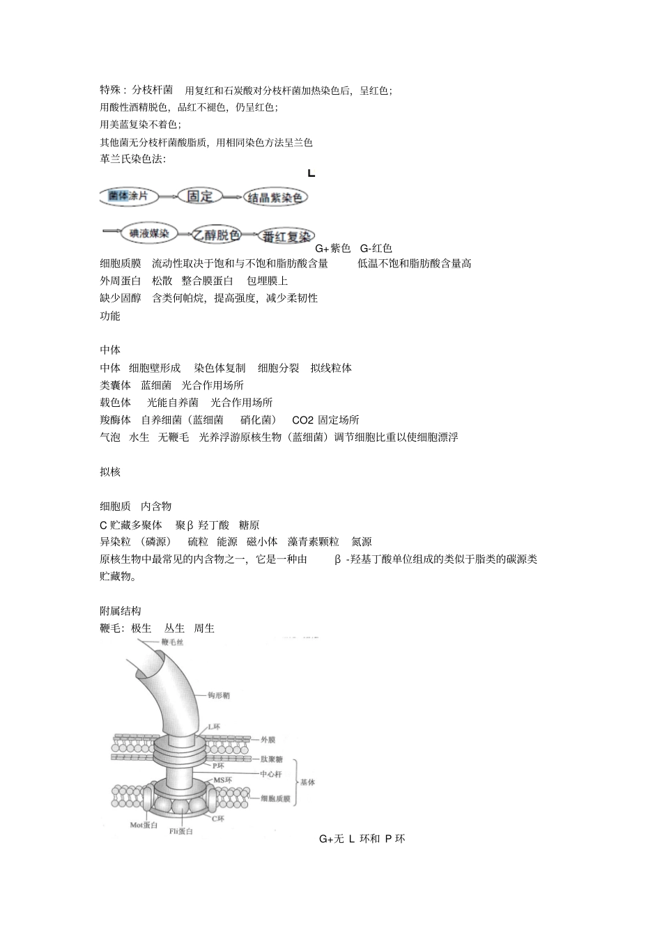 微生物复习上剖析_第2页