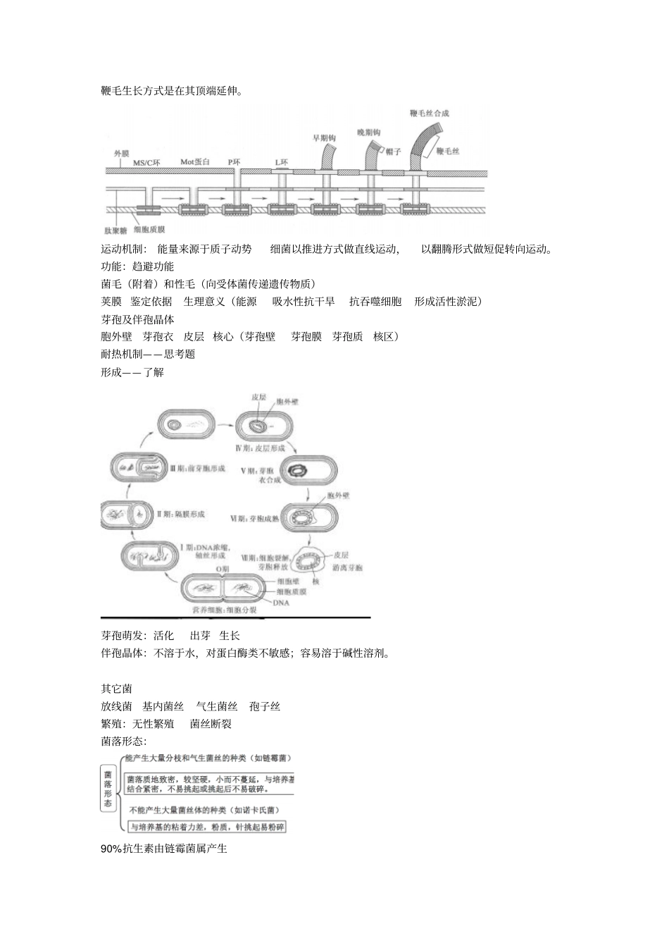 微生物复习上剖析_第3页
