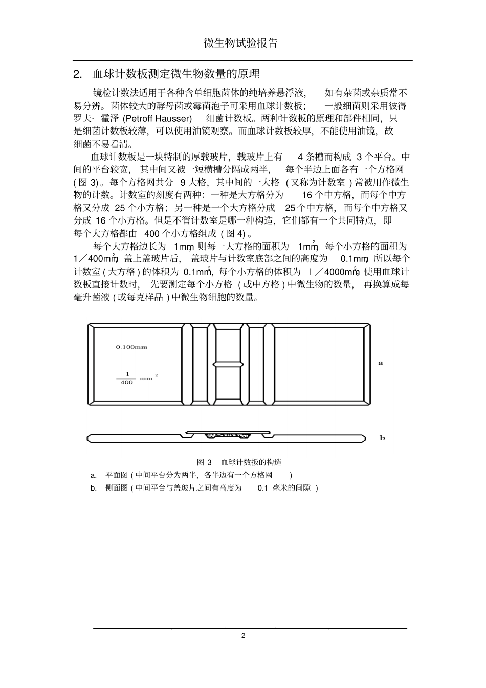 微生物的大小及数量的测定_第2页