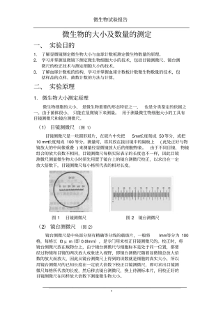微生物的大小及数量的测定