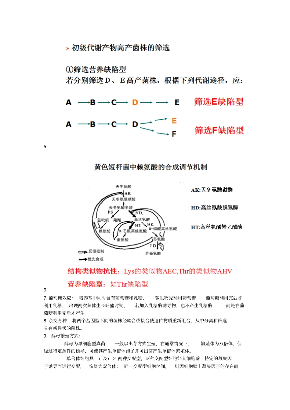 微生物工程全解_第3页