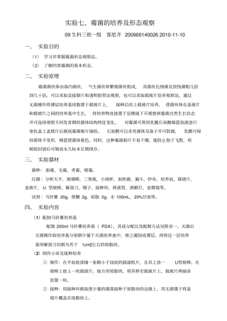 微生物试验-霉菌观察