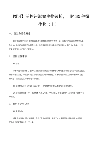 微生物镜检及运行判断