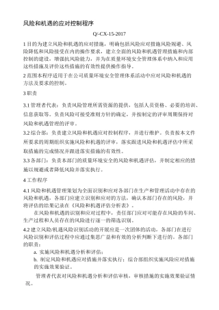 风险和机遇的应对控制程序