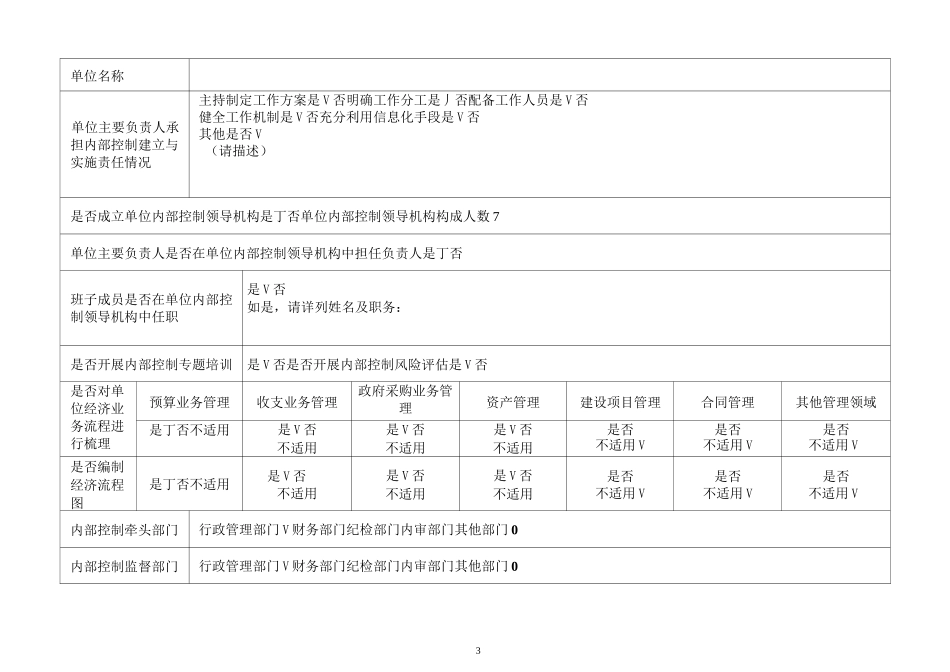 内部控制报告_第3页