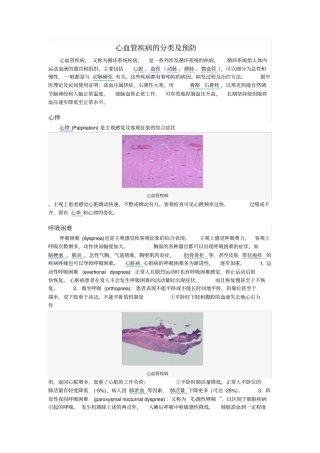 心血管疾病的分类及预防