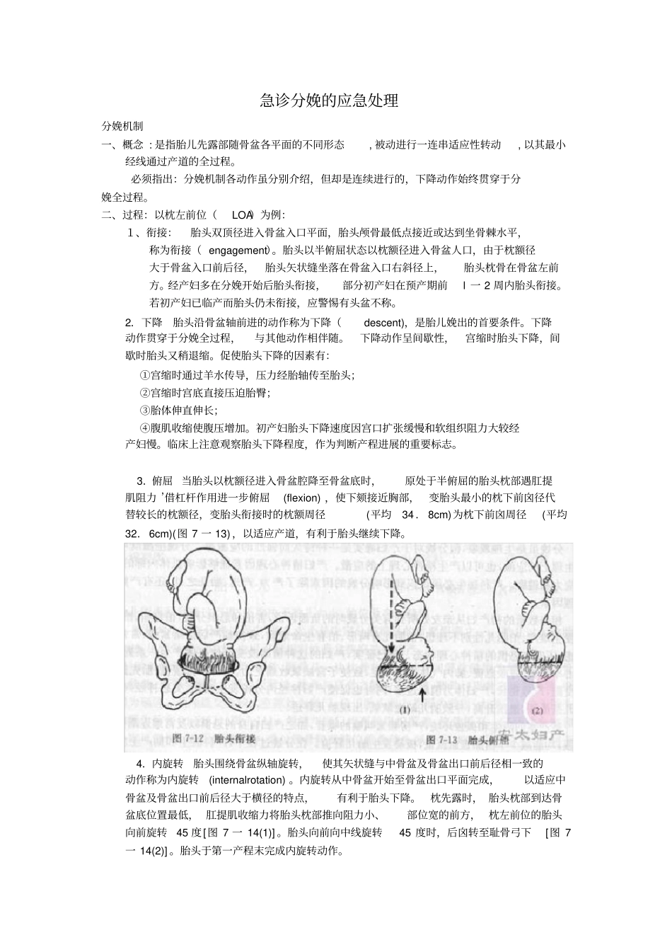 急诊分娩的应急处理_第1页