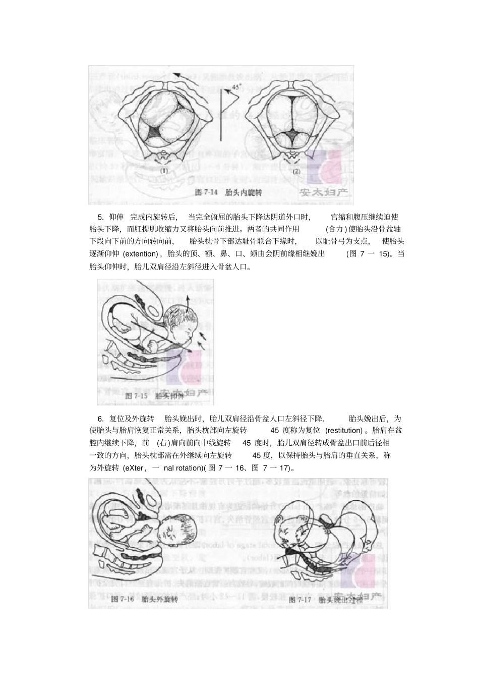 急诊分娩的应急处理_第2页