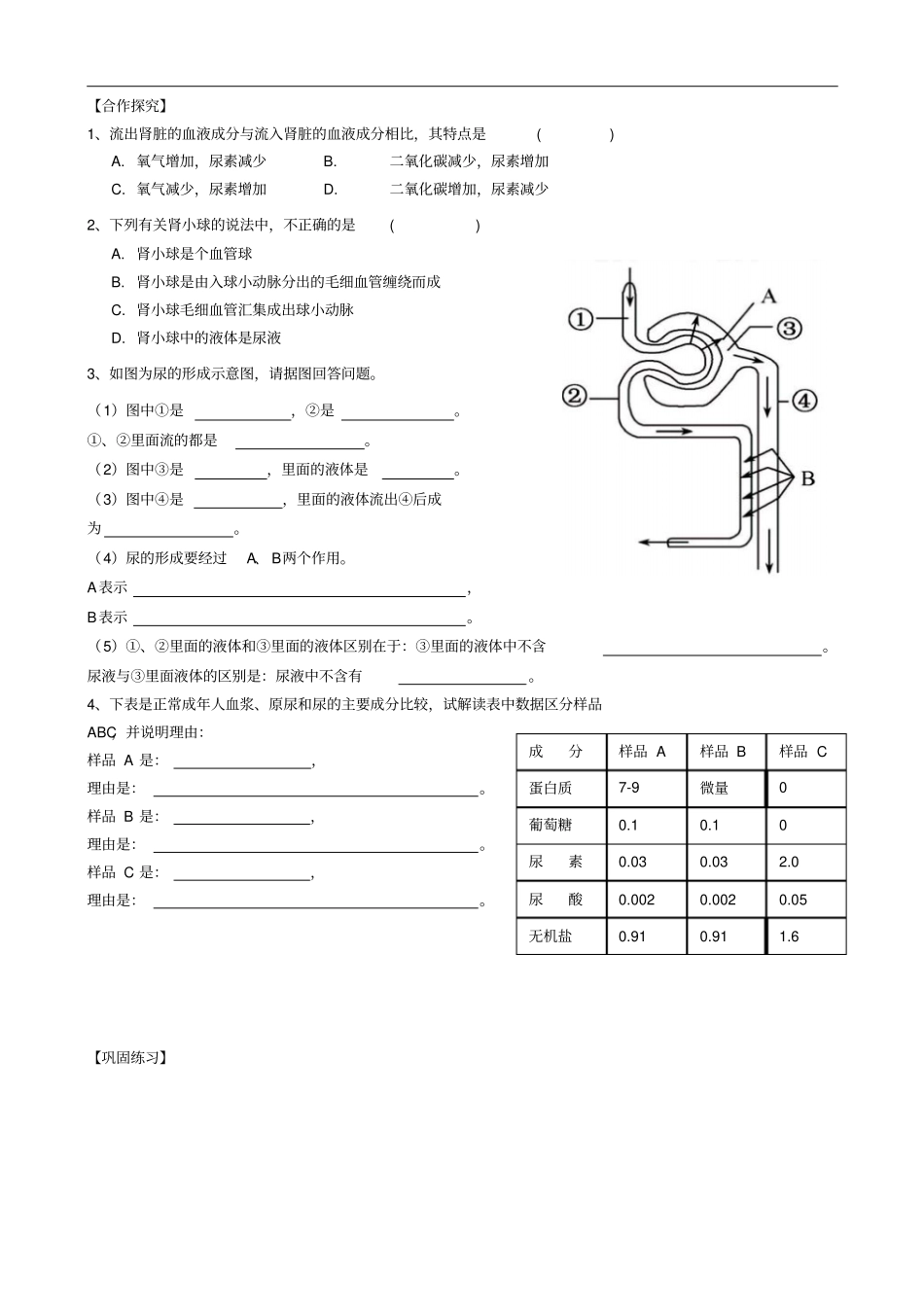 总复习导学案人体内废物的排出_第2页