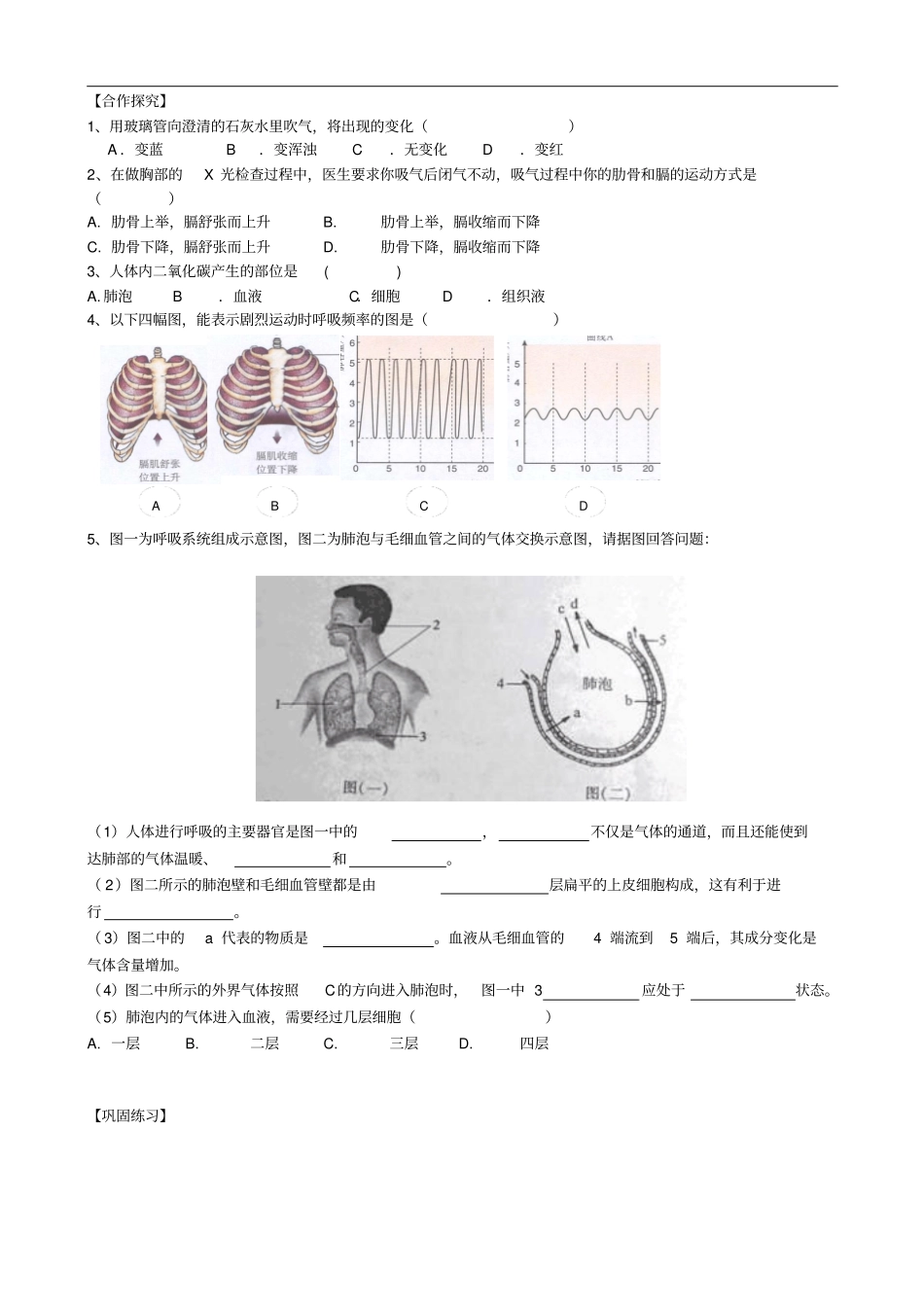 总复习导学案人体的呼吸_第2页