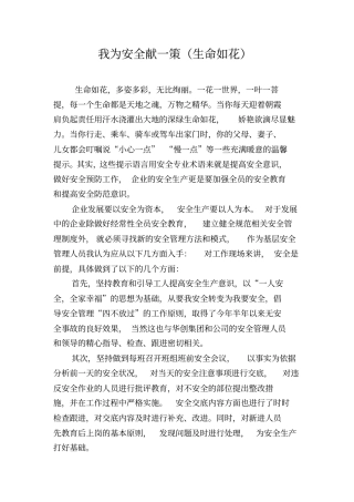 我为安全献一策