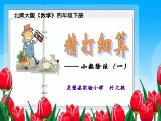 精打细算-付文英-新改