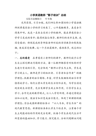 小学英语教师影子教师总结