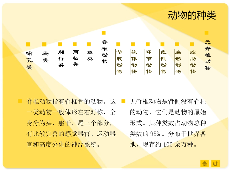 苏教版_八年级生物_上_14章第二节_第2页