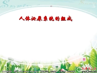 七年级生物人体泌尿系统的组成