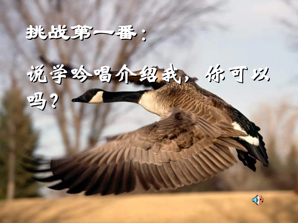 八年级语文大雁归来_第2页