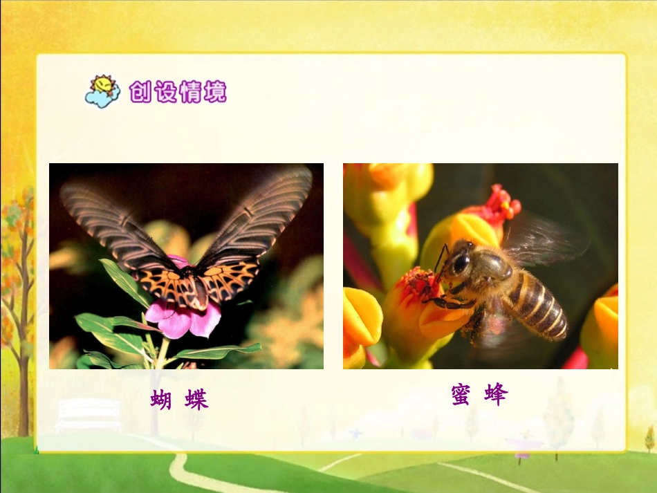 五年级语文下册《祖父的园子1》_第3页