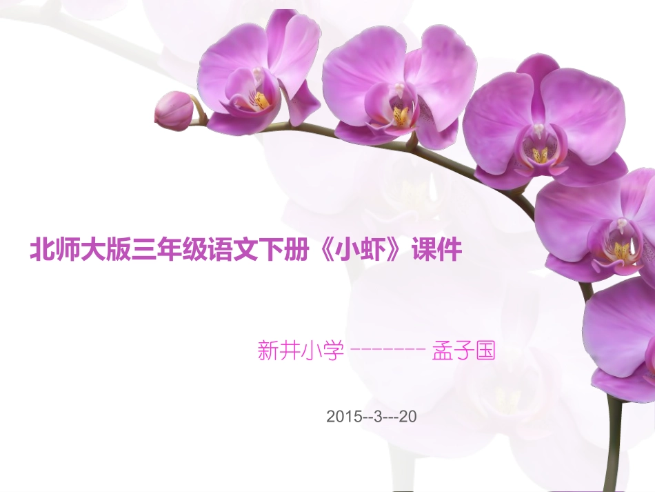 三年级语文下册四可爱的小生灵2小虾课件_第1页