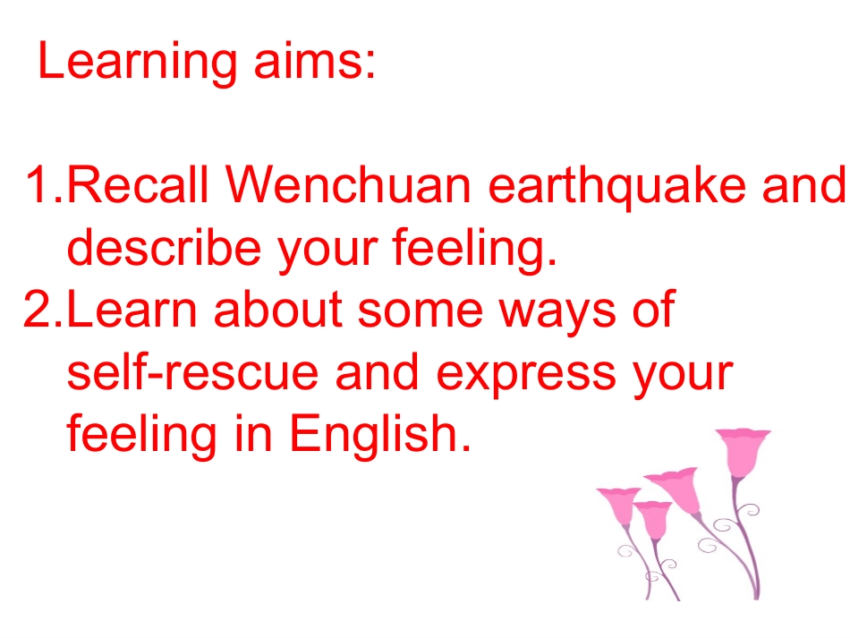 公开课高一课件_第2页