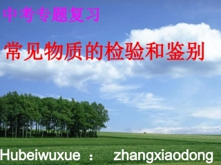 常见物质的检验和鉴别